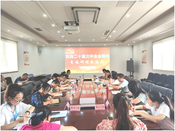 康辅中心党委召开学习贯彻党的二十届三中全会精神专题研讨交流会