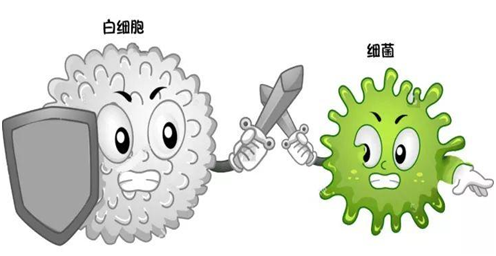 一文读懂血常规各项指标的临床意义