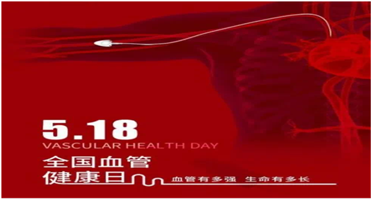 守护生命之河，关爱血管健康