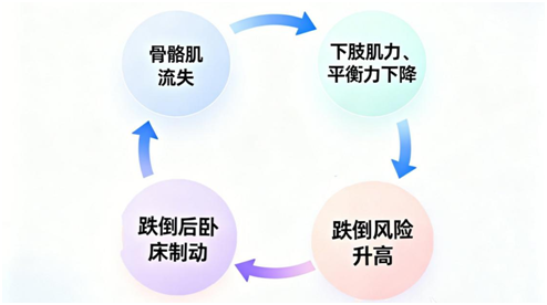 别把老来瘦当长寿！认识肌少症！